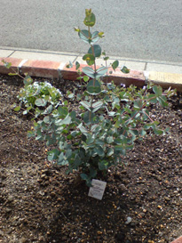 20070226-2.jpg
